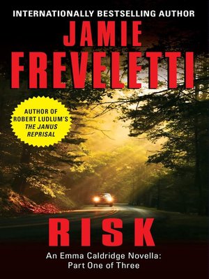 Risk - ebook